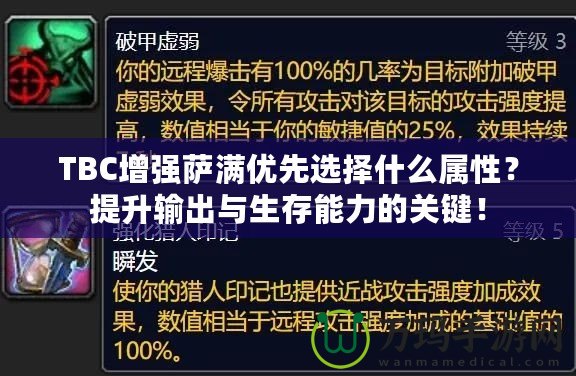 TBC增強薩滿優先選擇什么屬性？提升輸出與生存能力的關鍵！