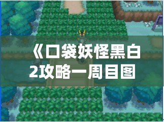 《口袋妖怪黑白2攻略一周目圖文》——玩轉一周目，輕松通關的全攻略！