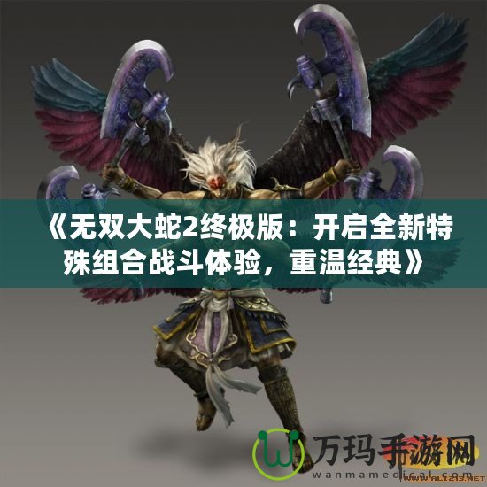 《無雙大蛇2終極版：開啟全新特殊組合戰(zhàn)斗體驗(yàn)，重溫經(jīng)典》