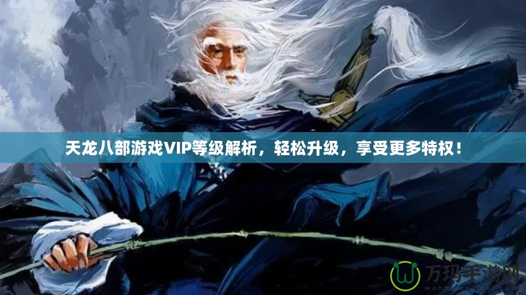 天龍八部游戲VIP等級解析，輕松升級，享受更多特權(quán)！