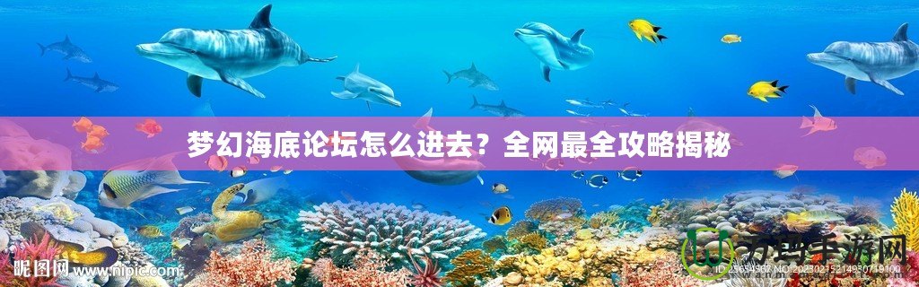 夢幻海底論壇怎么進去？全網最全攻略揭秘