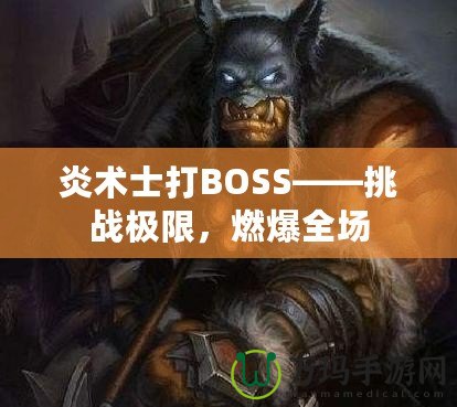 炎術(shù)士打BOSS——挑戰(zhàn)極限，燃爆全場