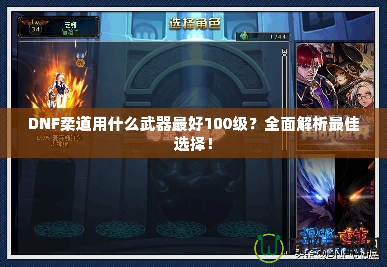 DNF柔道用什么武器最好100級？全面解析最佳選擇！