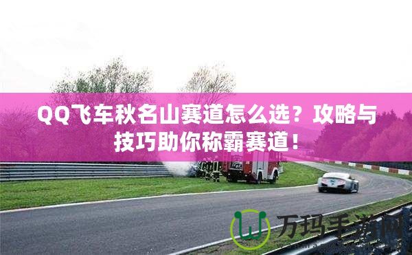 QQ飛車(chē)秋名山賽道怎么選？攻略與技巧助你稱(chēng)霸賽道！