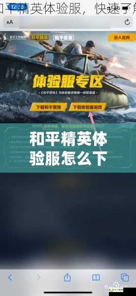 和平精英體驗服怎么下載視頻教程，輕松獲取最新游戲體驗！