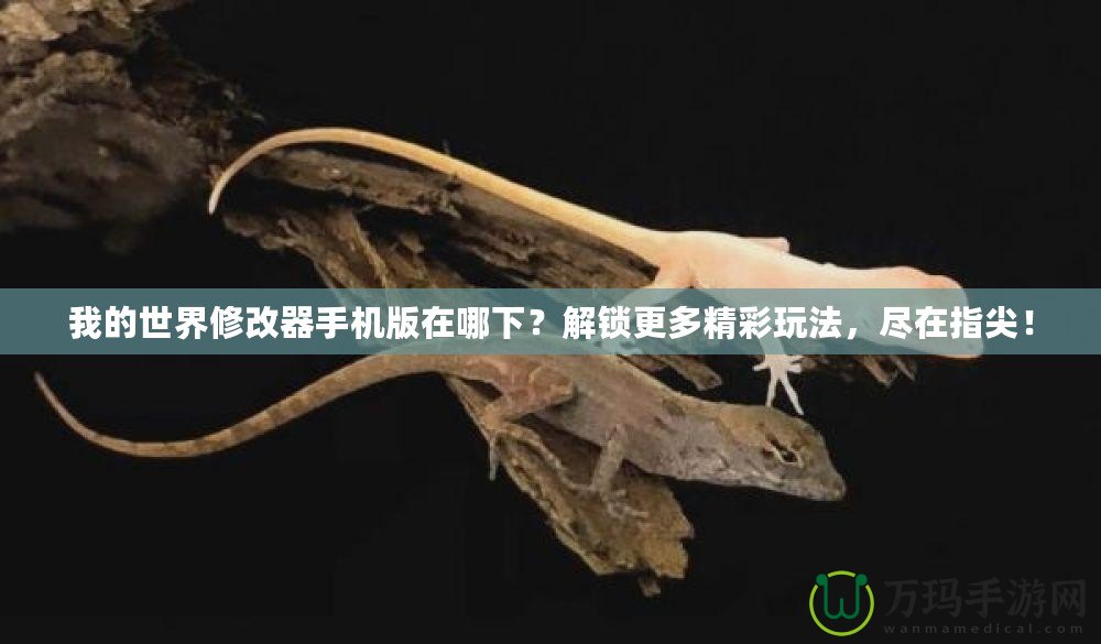 我的世界修改器手機版在哪下？解鎖更多精彩玩法，盡在指尖！