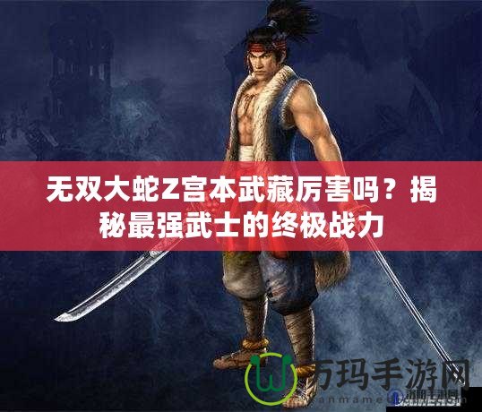 無雙大蛇Z宮本武藏厲害嗎？揭秘最強武士的終極戰力