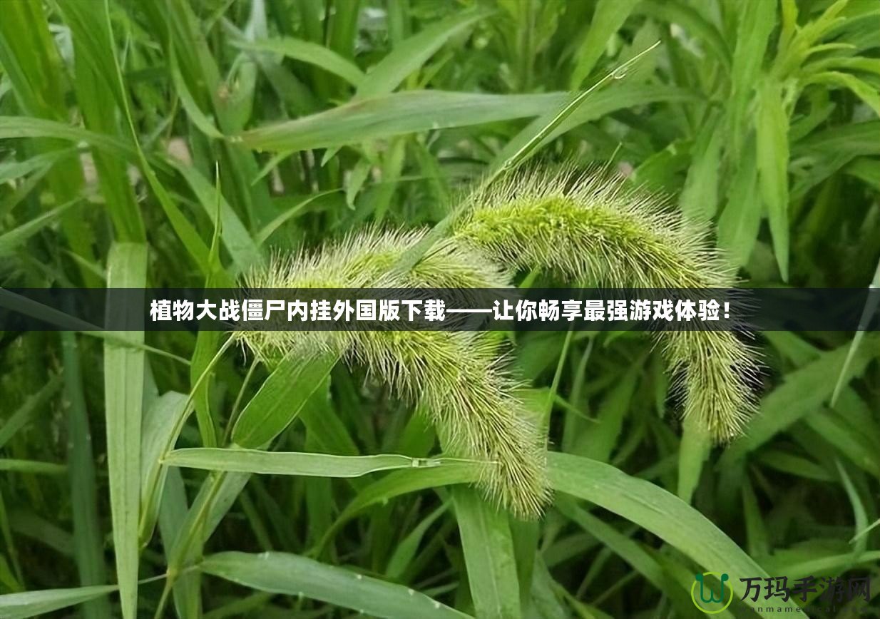 植物大戰僵尸內掛外國版下載——讓你暢享最強游戲體驗！