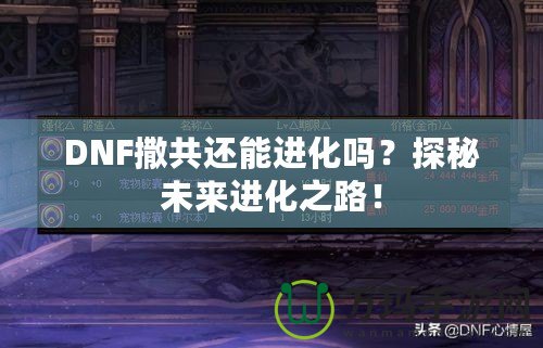 DNF撒共還能進(jìn)化嗎？探秘未來進(jìn)化之路！