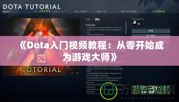 《Dota入門視頻教程：從零開始成為游戲大師》