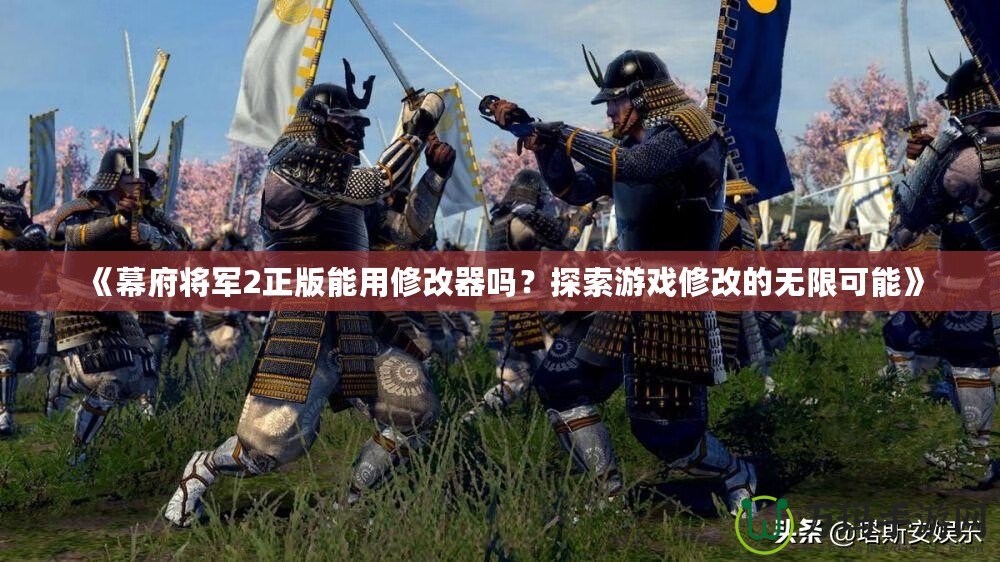 《幕府將軍2正版能用修改器嗎？探索游戲修改的無(wú)限可能》