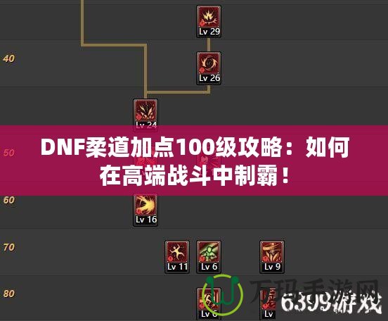 DNF柔道加點100級攻略：如何在高端戰斗中制霸！