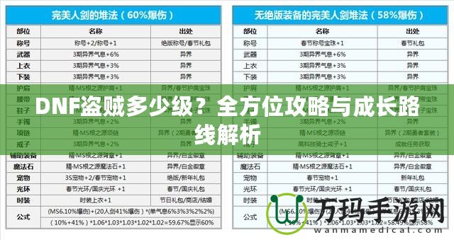 DNF盜賊多少級？全方位攻略與成長路線解析